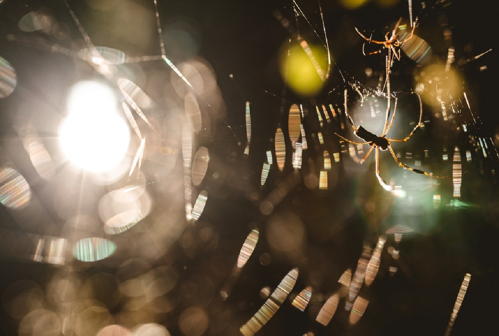 「これはあかんかも…」理系学生が就活でやりがちNG4選