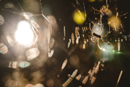 「これはあかんかも…」理系学生が就活でやりがちNG4選