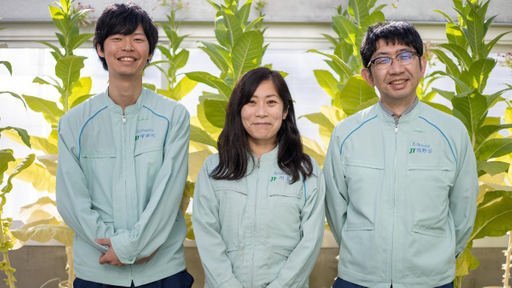 植物のプロフェッショナルはJTにいる？ JTグループで唯一の葉たばこ研究施設で葉たばこ原料の研究から製品開発まで一気通貫のJT R&Dグループ