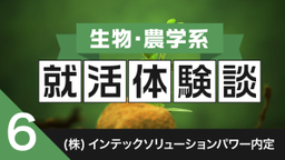 2020卒：株式会社インテックソリューションパワー内定者の就活体験談