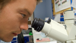 「たばこと医薬」に挑戦するJT――伝統産業と新規事業の両輪を走らせる