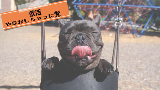 就活やらかしちゃった党　vol.1うちの志望度どのくらい？編