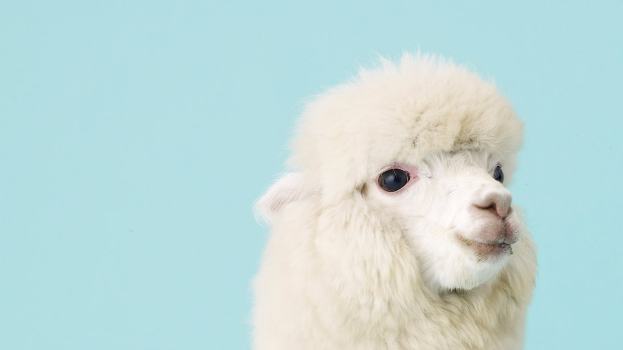 株式会社クラレの企業情報 理系新卒採用情報 Labbase ラボベース 研究を頑張る理系学生のための就活サービス